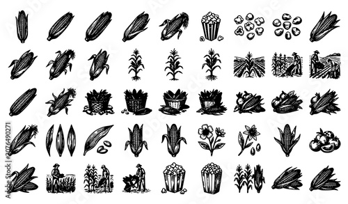 Bild auf Leinwand Vintage corn and popcorn illustrations