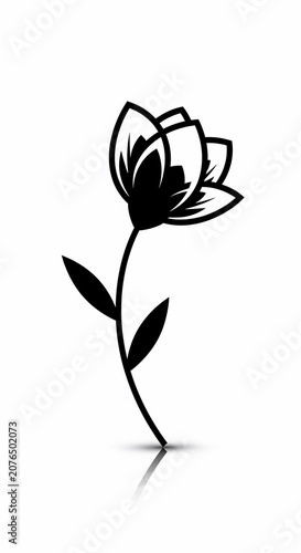墨絵の華