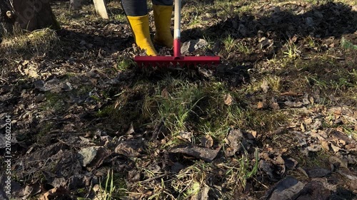 An unrecognizable man rakes dry leaves into a pile in the backyard