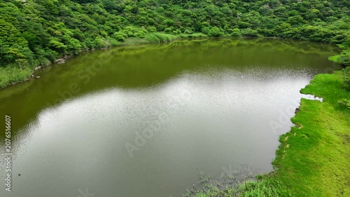 神奈川県箱根で撮影した精進池