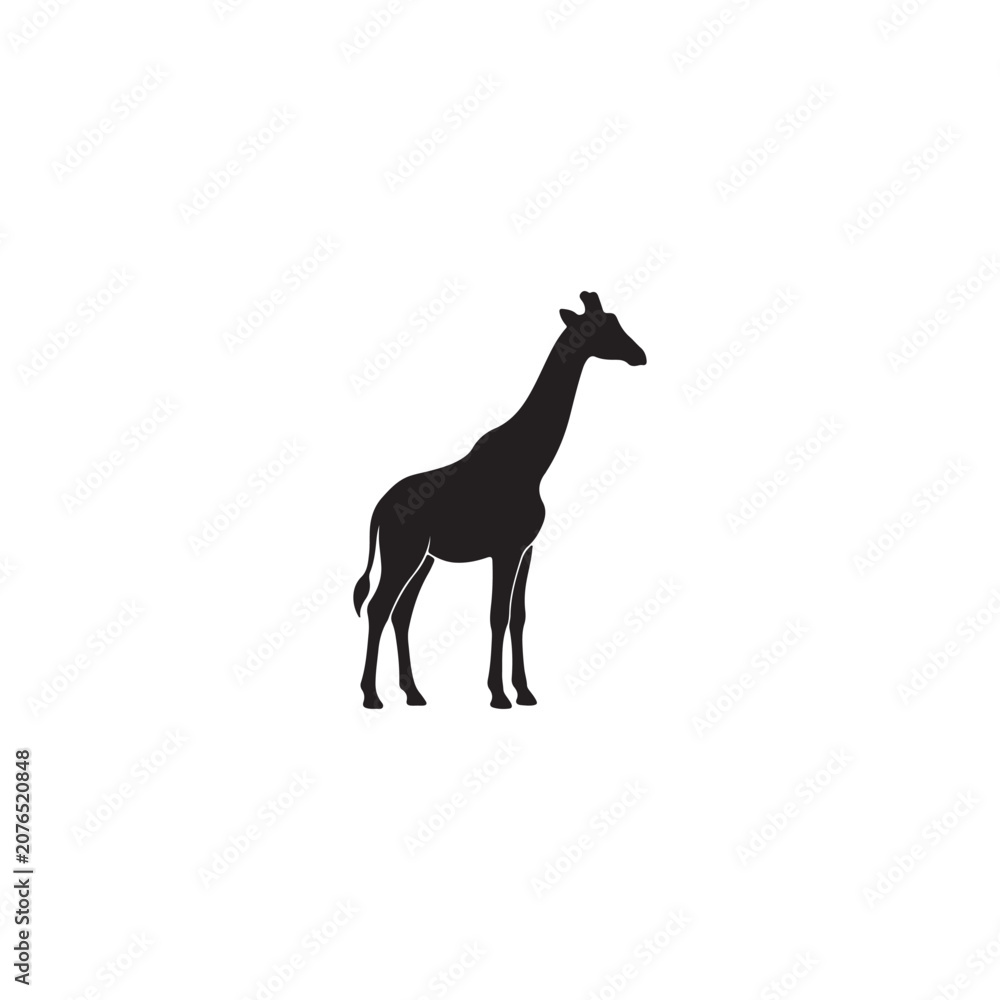 Fototapeta premium Giraffe Silhouette Vector Illustration Isolated on White Background