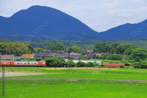一面の田園風景の中を疾走する273系電車の伯備線特急やくも号_2026/6/18撮影