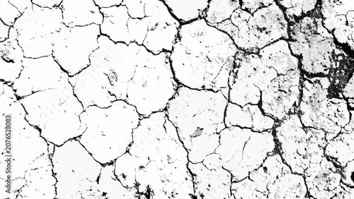 Tableau sur toile Cracked earth texture in black and white showcases a dry arid landscape with a f