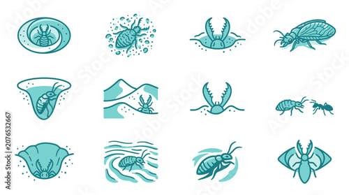 Photos Blue beetle and larvae icon collection