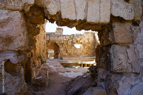 Ruins of the ancient city of Salamis in Cyprus, showcasing weathered stone structures and classical columns. These remnants reflect the architectural and cultural legacy of an ancient civilization.