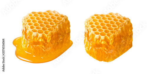 Set of honeycomb isolated on white background. Honey pieces. Real photography