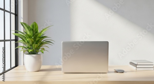 Minimalist workspace with a laptop, plant, and notebook on a light wooden desk