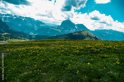 Canvas Print Panoramic alpine meadow beneath the rugged peaks of the Dolomites, Seceda Italy