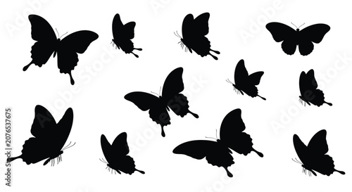 Schilderij op canvas Collection Of Black Butterfly Silhouettes Against A White Background Silhouette