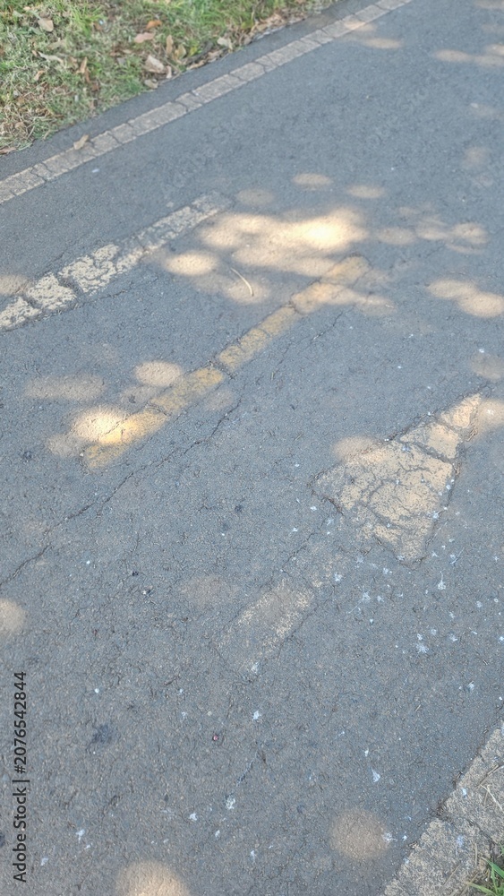 Fototapeta premium Close up of asphalt path with faded painted arrows and dappled sunlight shadows