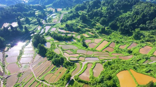 星峠の棚田（新潟県十日町市）