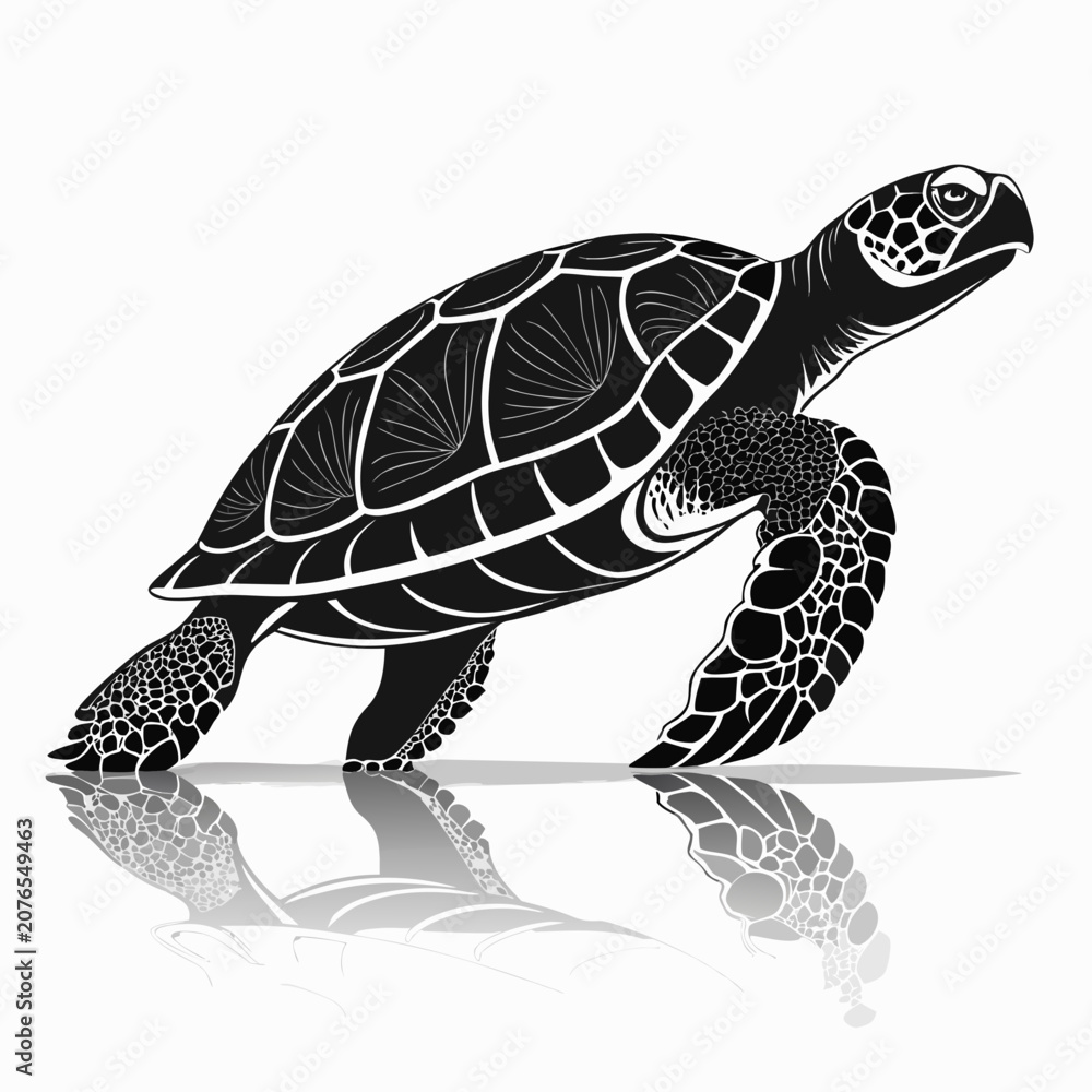 Fototapeta premium Minimalist vector silhouette of a walking brazilian turtle in side profile