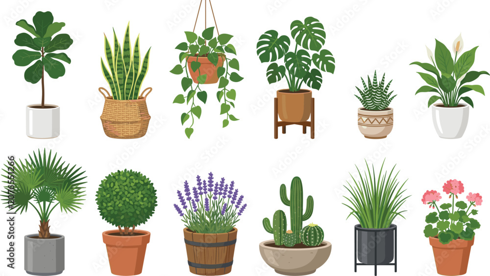 Fototapeta premium Indoor houseplant collection featuring potted tropical plants succulents cactus lavender and flowering greenery vector illustration isolated on white background