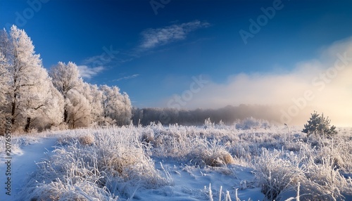 Frosty Winter Landscape With Snow Covered Trees And Grass