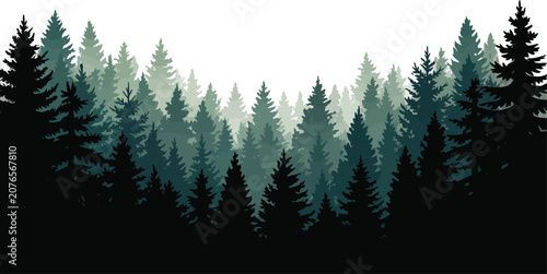 Deep coniferous pine forest silhouette with hazy layers evergreen trees forest background nature background forest landscape misty forest conifer forest dense forest tree silhouette tree line