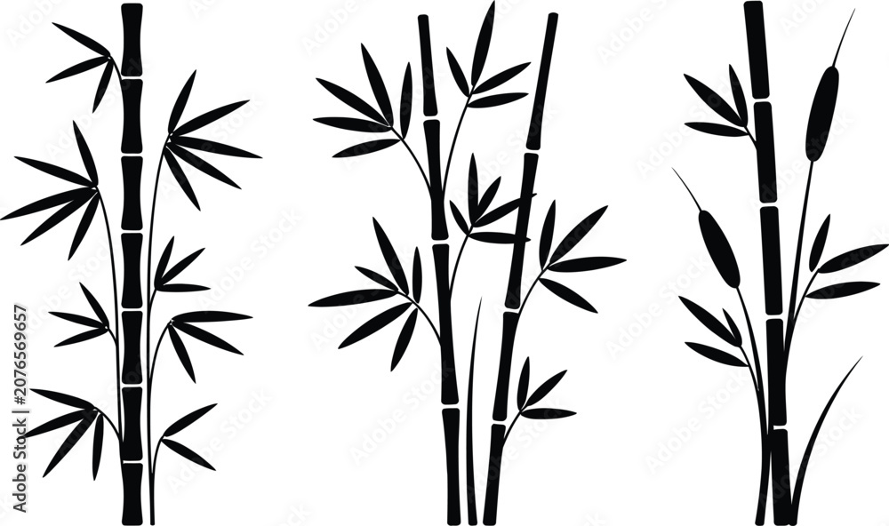 Naklejka premium Black silhouette set of bamboo stalks and water reeds for graphic design with silhouette botanical cattails collection isolated illustration oriental decoration ornament minimalist branches
