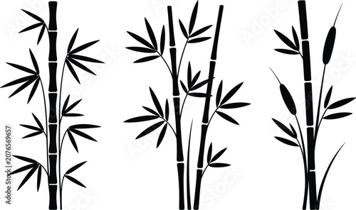 Cuadro en lienzo Black silhouette set of bamboo stalks and water reeds for graphic design with si