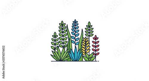 Colorful succulent plants in garden.