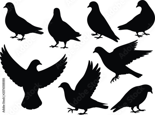 Fotografie Bird silhouette collection featuring flying pigeons, perched doves and wildlife