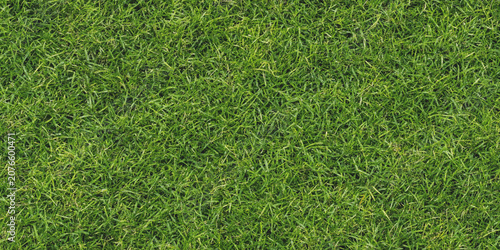 Konstfotografi Lush green grass texture a full frame photographic view of a lawn surface turf v