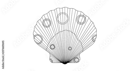 Detailed black and white line drawing of a scallop seashell features intricate circular patterns and fine radial lines.