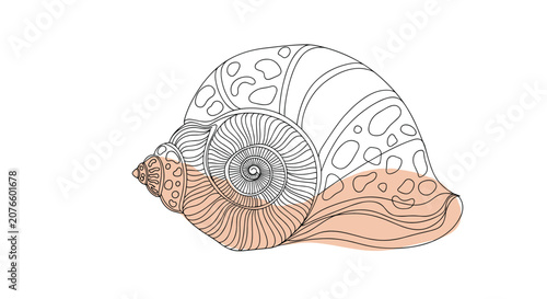 Intricate seashell line drawing highlights a spiraling nautical shell with a soft peach watercolor splash at the base.