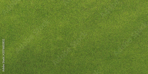 Fényképezés Green grass texture aerial view of a lush lawn with dense foliage verdant greene