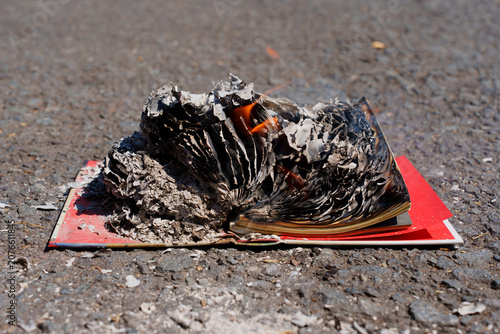 Картината върху платно Burning Book With Red Cover On Asphalt Ground
