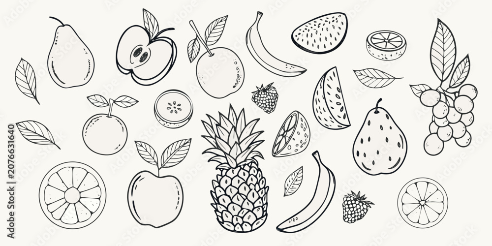 Fototapeta premium Fruit Sketch Collection Black And White Line Illustration