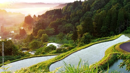 星峠の棚田（新潟県十日町市）
