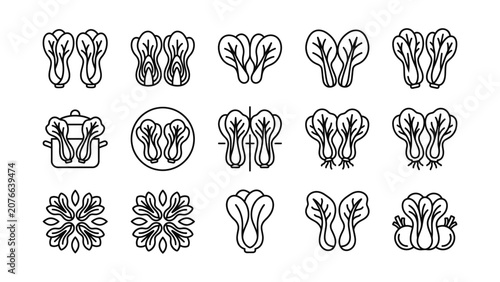 Bok Choy Vegetable Icon Set Fresh Healthy Food Line Art