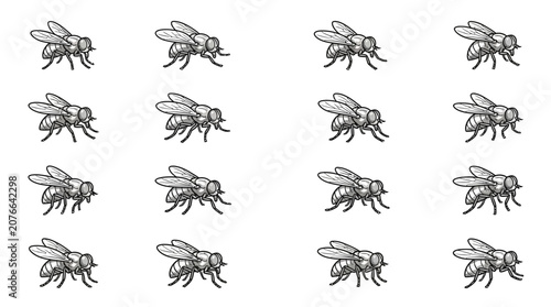 Foto Gray fly insect mascot icons set.
