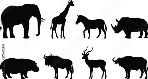 Photography African Wildlife Animal Black Silhouette Bundle Collection Isolated on White Bac