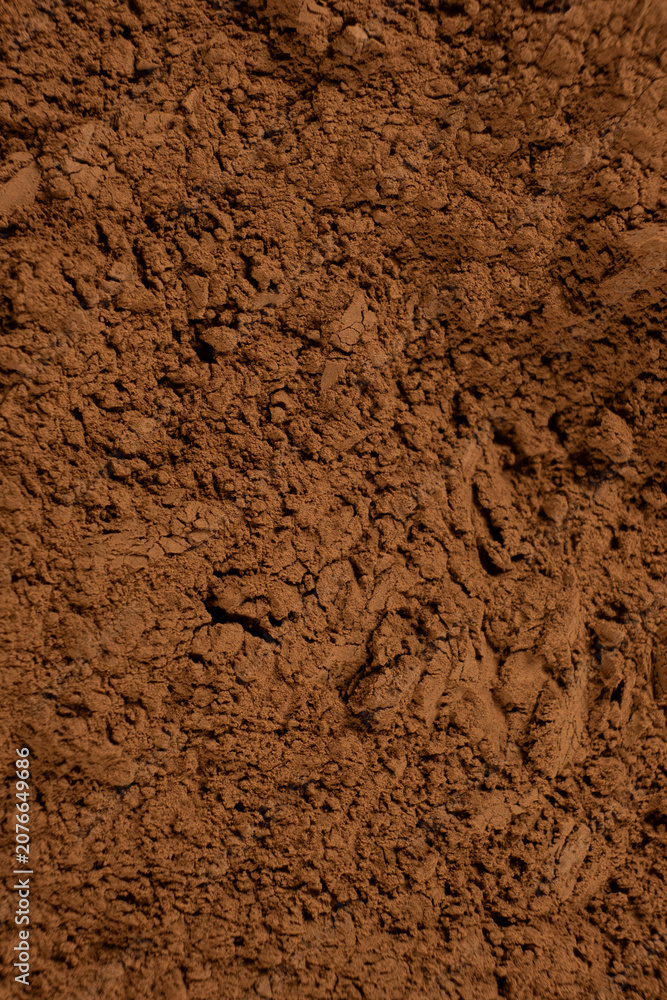 Fototapeta premium Vertical cooking background spilled natural cocoa powder.