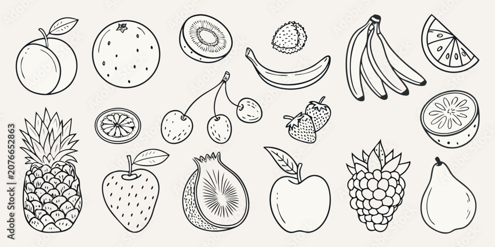 Fototapeta premium Collection Of Fruit Sketches Black And White Line Art Illustration