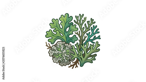 Assortment of Green Lichen species on white background, botanical illustration