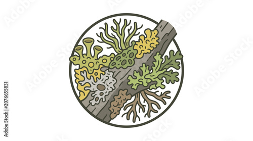 Diverse Lichen Growth on Tree Branch Illustration