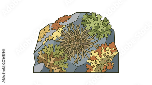 Colorful Lichen Growth on Gray Rock Surface, Botanical Illustration