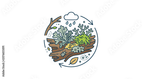 Forest Ecosystem Cycle: Decomposition of wood with moss, lichen, rain, and insects.