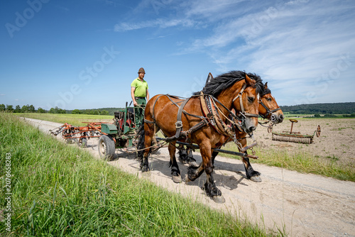Tableau sur toile Farmer steering heavy draft horse team – Driving a motorized forecart with attached hay tedder