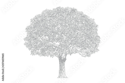 Gray Large tree with lush green foliage