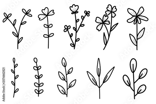 Minimal Line Art Flower Set, Hand Drawn Botanical Collection