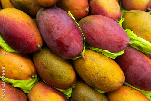 Foto Palmer mango