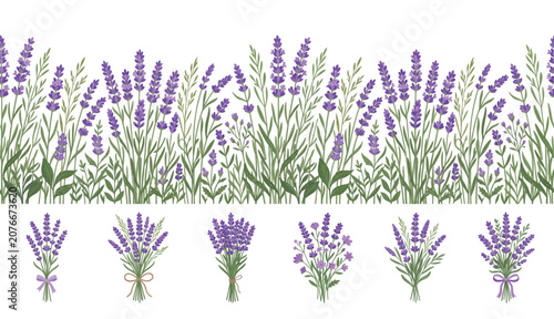 Seamless border with lavender flowers and bouquets