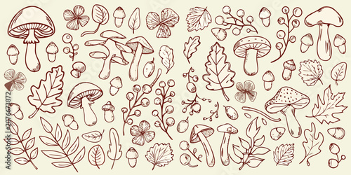 Variety Of Mushrooms Leaves And Acorns Hand Drawn Vector Illustration