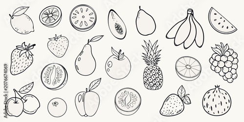 Fruit Sketch Collection Black And White Line Art Illustration