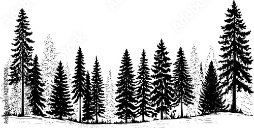 Fényképezés シルエットの様々な常緑樹を特徴とする、密な松林の風景の白黒イラスト