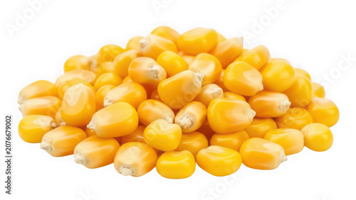 A pile of raw yellow corn kernels isolated on transparent background