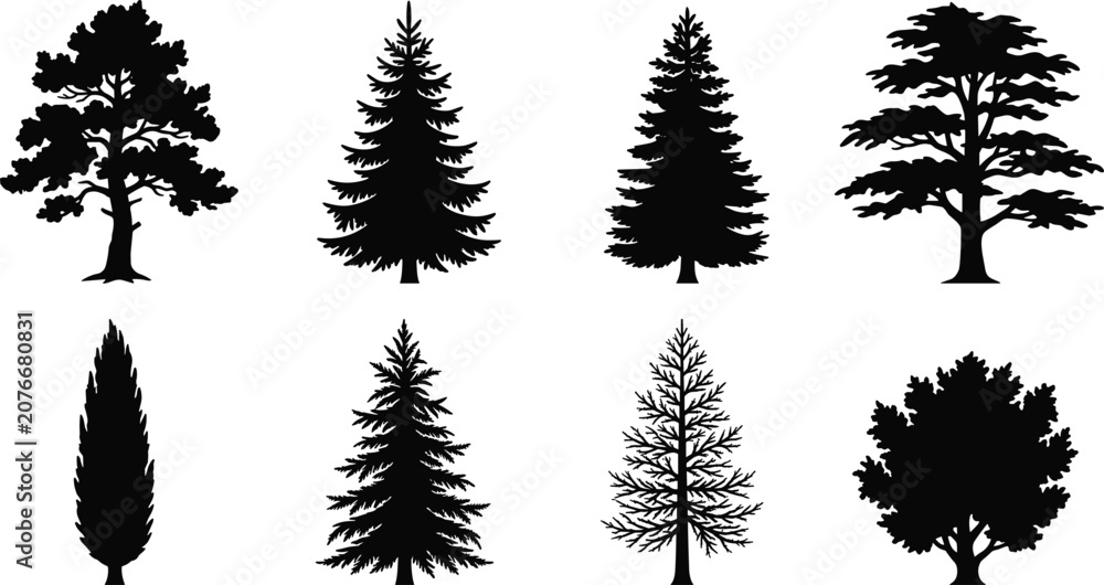Fototapeta premium Tree Silhouette Collection with Pine Cedar Cypress and Deciduous Forest Vector Set