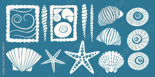 Foto White Line Art Illustrations Of Various Seashells And Starfish